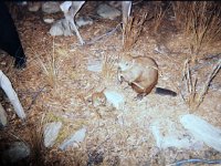 photos 2000-200901219